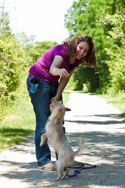 Fun Dog Training LLC