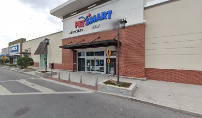 PetSmart Dog Training