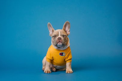 TopDog Trainer Academy