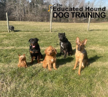 The Educated Hound