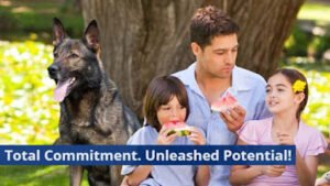 Full Contact K9