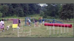 Atlanta Dog Trainer