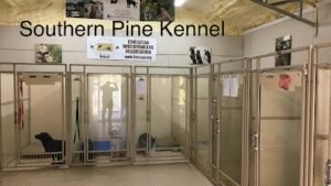Southern Pine Kennels