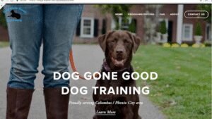 Dog Gone Good Dog Training