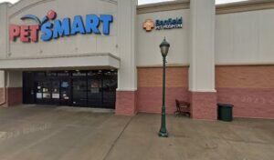 PetSmart Dog Training