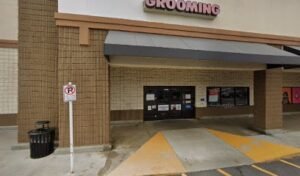 PetSmart Dog Training