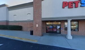 PetSmart Dog Training