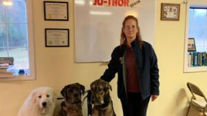 4PawsDownTraining