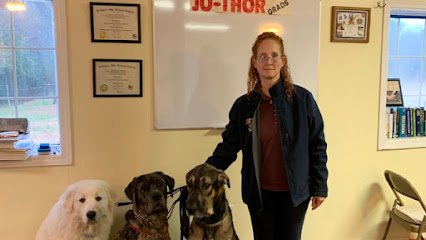 4PawsDownTraining