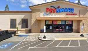 PetSmart Dog Training