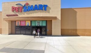 PetSmart Dog Training