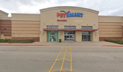 PetSmart Dog Training