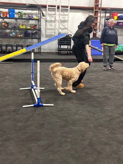 Red Dog K9 Coach