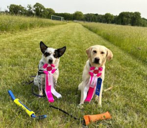 Flint Creek Dogs