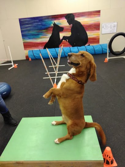Ms. Cristy’s Canine Academy