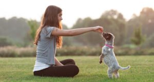 Torbel’s Canine Connection
