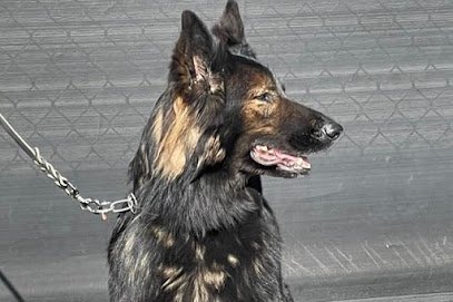 North Shore K-9 Services at Von Miller Kennels