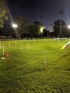 Lincolnwood Dog Training Club