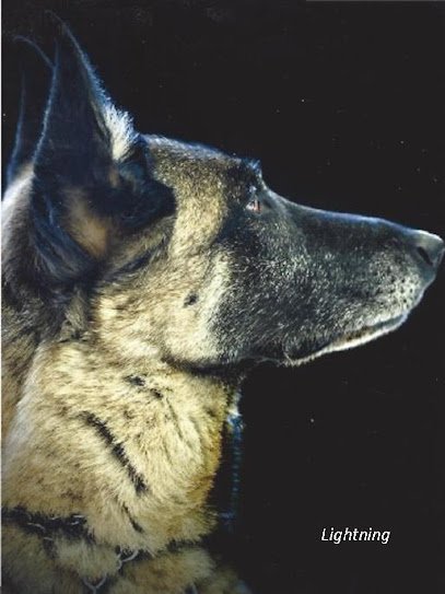 Teacher’s Pet K-9 School‚Ñ¢
