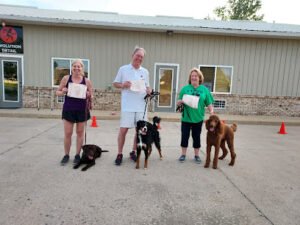 Sullys School of Dog Training