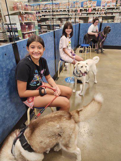 PetSmart Dog Training