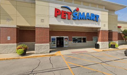 PetSmart Dog Training