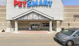 PetSmart Dog Training