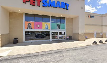PetSmart Dog Training