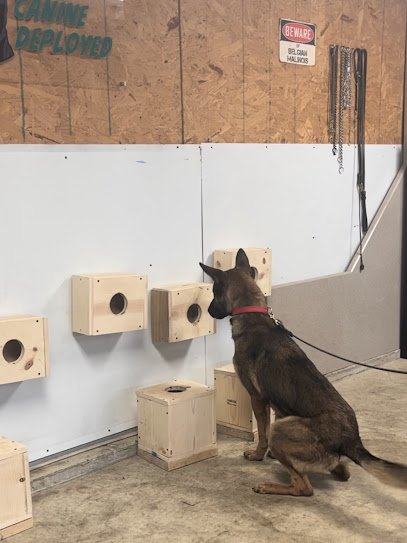 Canine Deployed