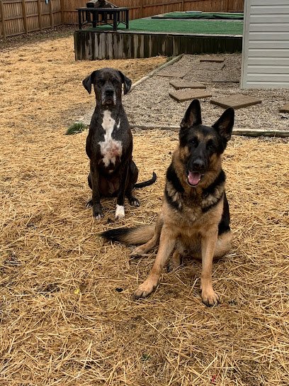 Click.Treat.Repeat. Canine Coaching, LLC