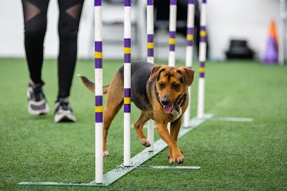 Canine Connect Dog Sports