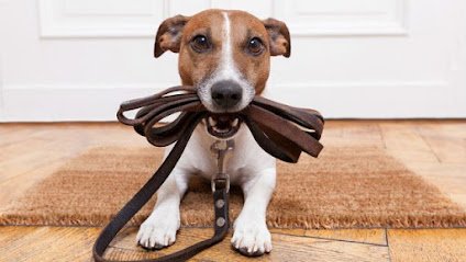 K-9 Detection Services,LLC