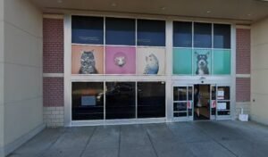 PetSmart Dog Training