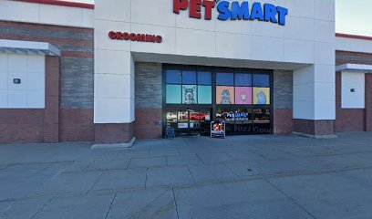 PetSmart Dog Training