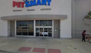 PetSmart Dog Training