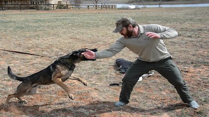 Canine Tactical