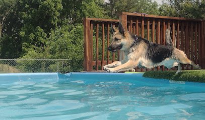Poseidon’s K9 Island L.L.C.