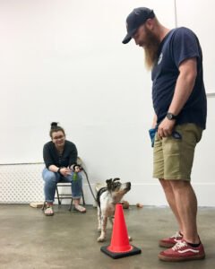 Knox Canine Training