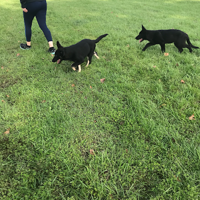 Turn Around Dogs Behavior &Training