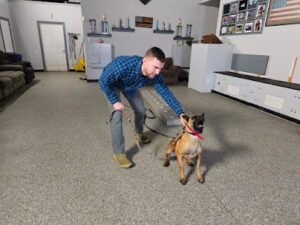 IronHeart Dog Training Center