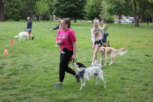 Kramer K9 training
