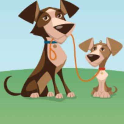 Camp Canine Elite Dogs – Training, Boarding & Grooming