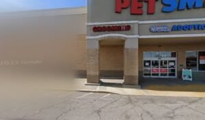 PetSmart Dog Training