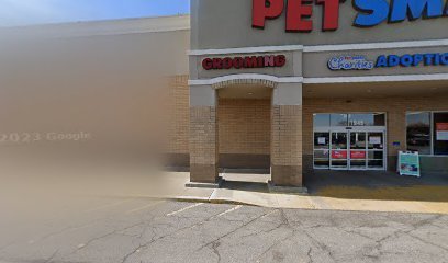 PetSmart Dog Training