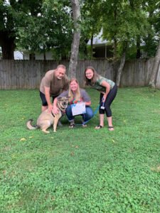 doggytraininingsolutions