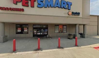 PetSmart Dog Training