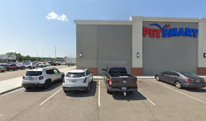 PetSmart Dog Training