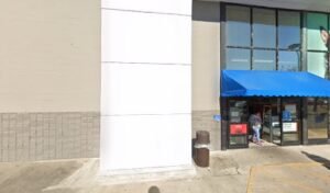 PetSmart Dog Training