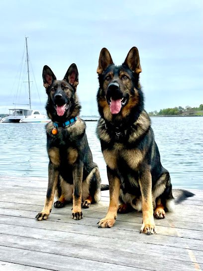 Canine Behavior Counseling, LLC