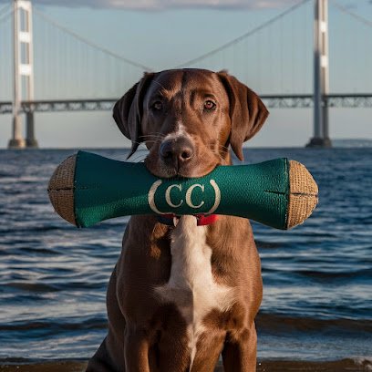 Chesapeake Canine